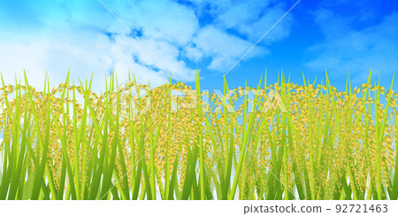 US rice fall fall background 92721463