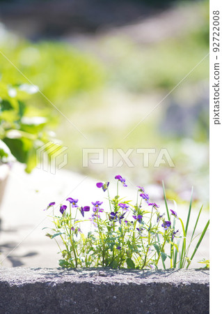 Hobby Gardening Old Lens Hobby Gardening Old Lens 92722008