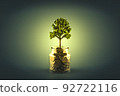 Tree growing on piles of coins. Financial development and business growth concept Tree growing on piles of coins. Financial development and business growth concept 92722116
