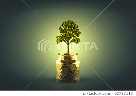 Tree growing on piles of coins. Financial development and business growth concept Tree growing on piles of coins. Financial development and business growth concept 92722116