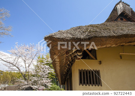 Spring scenery of cherry blossoms and old houses 92722443