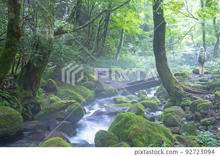 Image of early summer and fresh green trekking in Oyama (Kiyazawa mountain stream) 92723094