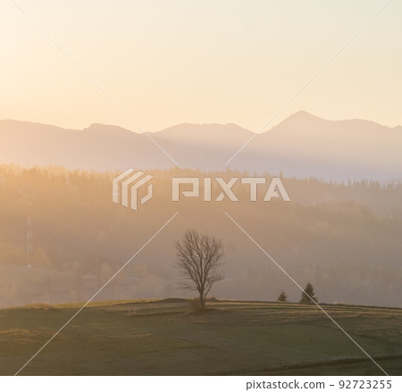 Colorful landscape with solitary tree on a field with mountains in background catching sunset light 92723255
