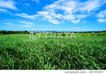 平刈俁地區的甘蔗田和風力發電[沖繩縣宮古島市] 92724037
