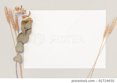 White invitation card mockup with a dried eucalyptus and golden ears decoration on a neutral table. 5x7 ratio, similar to A6, A5 92724650