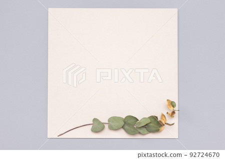Mockup image. Square invitation card mock up with a gold eucalyptus branch. Top view of a white card mockup with branch of eucalyptus Mockup image. Square invitation card mock up with a gold eucalyptus branch. Top view of a white card mockup with branch of eucalyptus 92724670