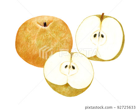 Japanese pear and cross-section illustration of hand-drawn colored pencil drawing 92725633