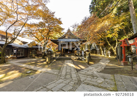 琴平神社的紅葉[長崎縣長崎市西山] 92726018