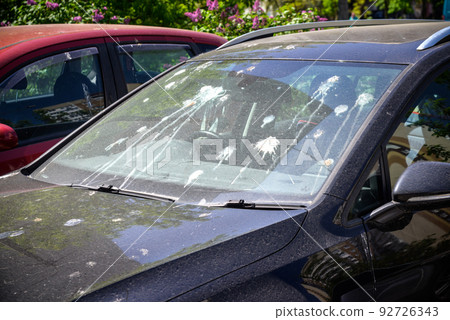 hood of car with lot of bird droppings, bad parking concept hood of car with lot of bird droppings, bad parking concept 92726343