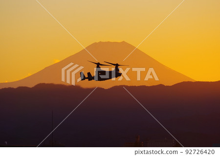 Osprey flying in the evening 92726420