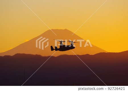 Osprey flying in the evening 92726421
