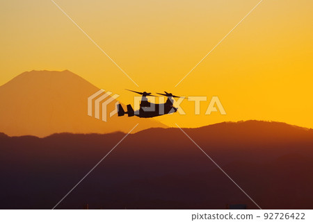 Osprey flying in the evening 92726422