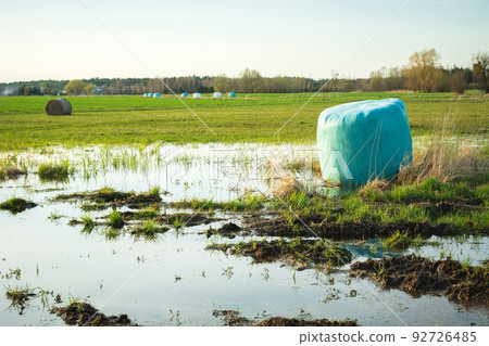 A silage bale lying in a meadow in the water A silage bale lying in a meadow in the water 92726485