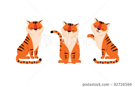 Striped Tiger with Orange Fur Sitting and Licking Vector Set Striped Tiger with Orange Fur Sitting and Licking Vector Set 92726566