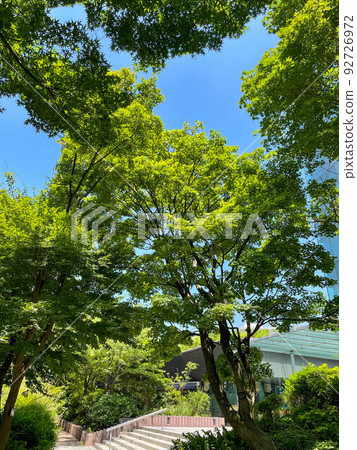 炎炎夏日,一條穿過高層辦公樓的綠色人行道 炎炎夏日,一條穿過高層辦公樓的綠色人行道 92726972