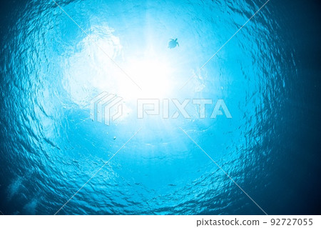 far and gracefully 92727055