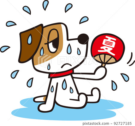 Jack Russell Terrier dog sweating and fanning his fan 92727185