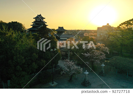 Aerial view of Nakatsu Castle's castle tower and cherry blossoms in full bloom at dawn 92727718