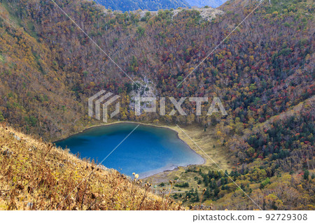 從日光白根山的小徑看五色沼的風景 從日光白根山的小徑看五色沼的風景 92729308