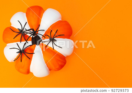 Halloween. White and orange striped pumpkin and black spiders. Place for text. Copy space. Flay lay. Top view. Layout for design. Orange background. Preparation for the Halloween holiday. Halloween. White and orange striped pumpkin and black spiders. Place for text. Copy space. Flay lay. Top view. Layout for design. Orange background. Preparation for the Halloween holiday. 92729373
