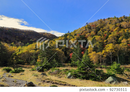 Landscape from the mountain trail of Nikko Shirane 92730311
