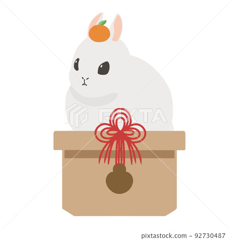 鏡面兔無條紋白 92730487