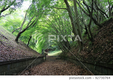 Kojima Fortress Ruins Walking Course Kojima Fortress Ruins Walking Course 92730764