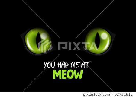 You Had Me At Meow. Vector 3d Realistic Green Round Glowing Cats Eyes of a Black Cat. Cat Look in the Dark Black Background Closeup. Glowing Cat or Panther Eyes 92731612