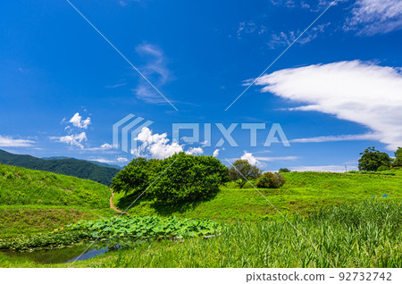 夏日清新自然風光 92732742
