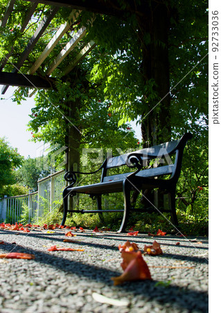 公園的長椅上 92733036
