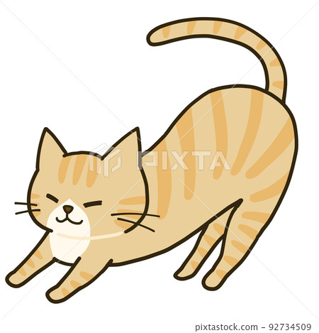 一隻簡單的棕色虎斑貓伸展身體 一隻簡單的棕色虎斑貓伸展身體 92734509