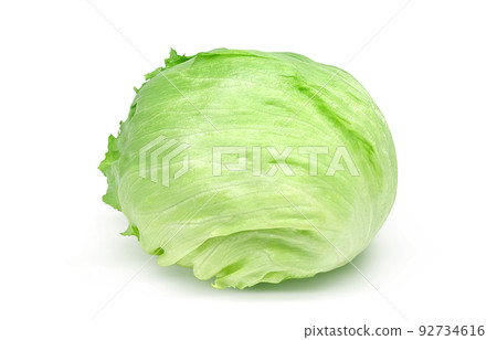 lettuce illustration real 92734616