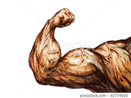 muscle bicep 92734680