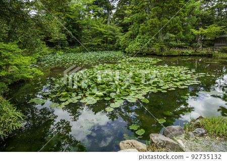 Kanazawa Shrine Hojo Pond Kanazawa City, Ishikawa Prefecture Kanazawa Shrine Hojo Pond Kanazawa City, Ishikawa Prefecture 92735132