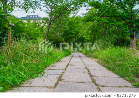 通往銀閣寺的哲學之路。 92735279