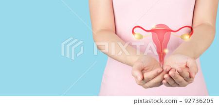 Healthy uterus and ovaries anatomy on female hands. Awareness of women health care such as endometriosis disease, PCOS, STDs, ovarian or cervical cancer screening. Gynecology and reproductive system. 92736205