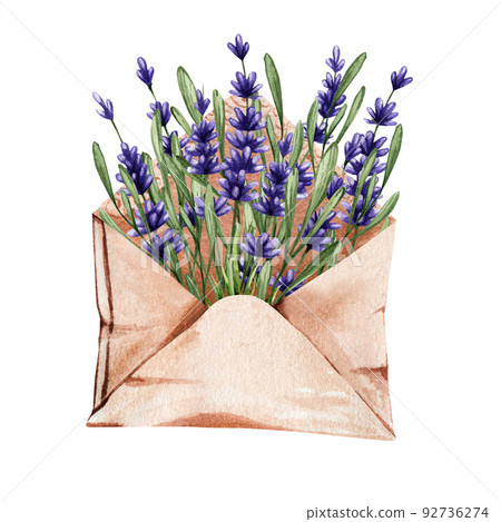 Watercolor lavender in an envelope. Flower arrangement for stickers. Botanical illustration from plant elements Watercolor lavender in an envelope. Flower arrangement for stickers. Botanical illustration from plant elements 92736274
