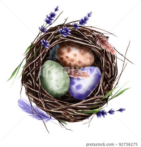Bird's nest with twigs eggs, lavender flowers, feather leaves. Watercolor Easter illustration. Bird's nest with twigs eggs, lavender flowers, feather leaves. Watercolor Easter illustration. 92736275