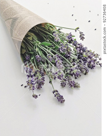 Bouquet of fresh blooming lavender wrapped in kraft paper on white background Bouquet of fresh blooming lavender wrapped in kraft paper on white background 92736408
