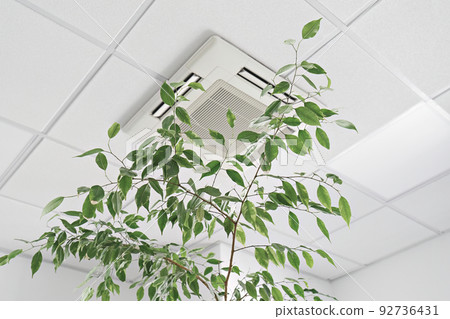 Low angle of assette Air Conditioner on ceiling in modern light office or apartment with green ficus plant leaves. Indoor air quality 92736431