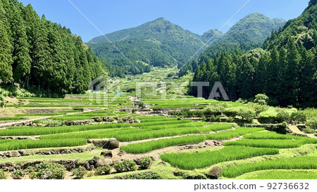 Aota of terraced rice fields that shine against the blue sky and deep green [Yotsuya Senmaida / Shinshiro City, Aichi Prefecture] 92736632