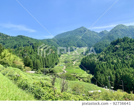 Aota of terraced rice fields that shine against the blue sky and deep green [Yotsuya Senmaida / Shinshiro City, Aichi Prefecture] 92736641
