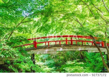[Shibukawa City, Gunma Prefecture] Kajika Bridge 92737172