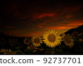 向日葵的夜晚 92737701