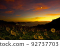 向日葵的夜晚 92737703