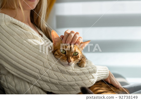 The girl strokes the cat, lying on her hands, on the head. 92738149