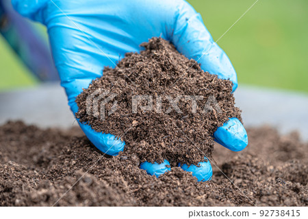 Hand holding peat moss organic matter improve soil for agriculture organic plant growing, ecology concept. Hand holding peat moss organic matter improve soil for agriculture organic plant growing, ecology concept. 92738415