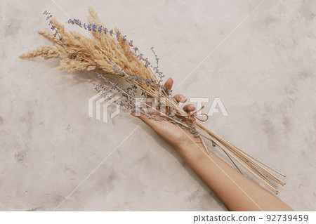 Sensual delicate beige wooden background: delicate dry flower in hand 92739459