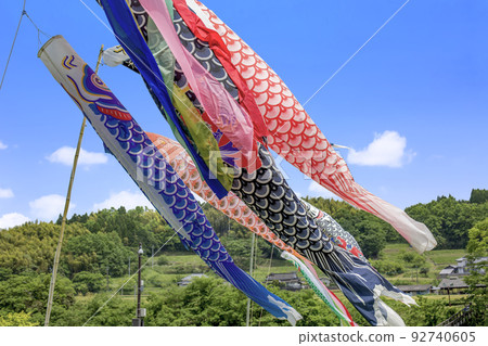 Carp streamer Carp streamer 92740605