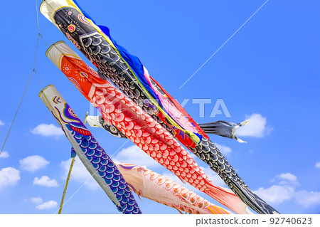 Carp streamer 92740623